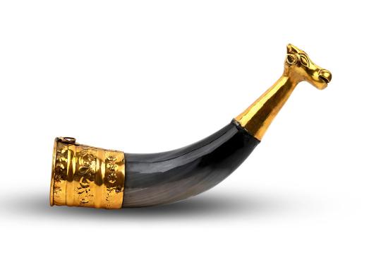 Bull Horn Gaumukhi Shringi for Abhishek-Large