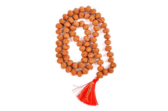 Rare 7 Mukhi Mahalaxmi Mala Button Shape (12 mm)-108+1 Beads