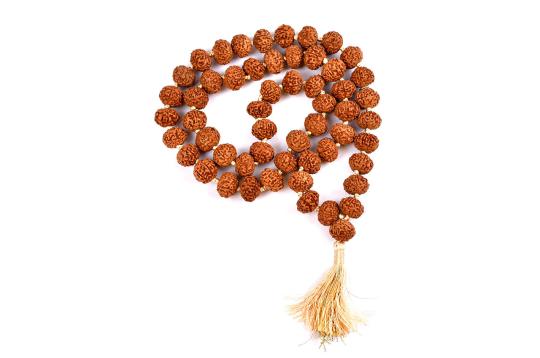 Rare 7 Mukhi Mahalaxmi Mala Button Shape (14 mm)-72+1 Beads
