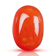 Red Italian Coral - 10.70 Carats - iii