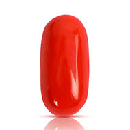 Red Italian Coral - 10.85 Carats