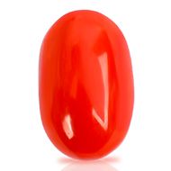 Red Italian Coral - 11.75 Carats - I