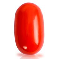 Red Italian Coral - 11.65 Carats