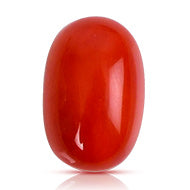 Red Italian Coral - 12.10 Carats