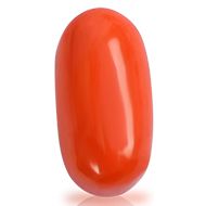 Red Italian Coral - 12.20 Carats