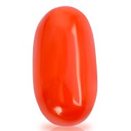 Red Italian Coral - 12.85 Carats - I