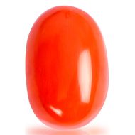 Red Italian Coral - 13.55 Carats