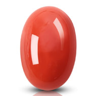 Red Italian Coral - 13.75 Carats