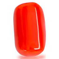 Red Italian Coral - 13 Carats