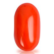 Red Italian Coral - 14.55 Carats