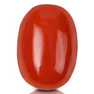 Red Italian Coral - 16.55 Carats