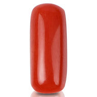 Red Italian Coral - 5 to 6 Carats - I