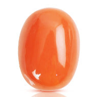 Red Japanese Coral - 11.44 Carats