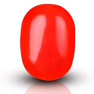 Red Japanese Coral - 11.81 Carats