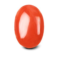 Red Japanese Coral - 12.62 Carats