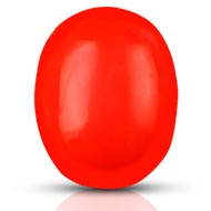 Red Japanese Coral - 14.82 Carats