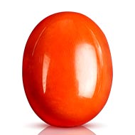 Red Japanese Coral - 27.80 Carats