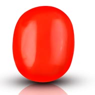 Red Japanese Coral - 9.88 Carats